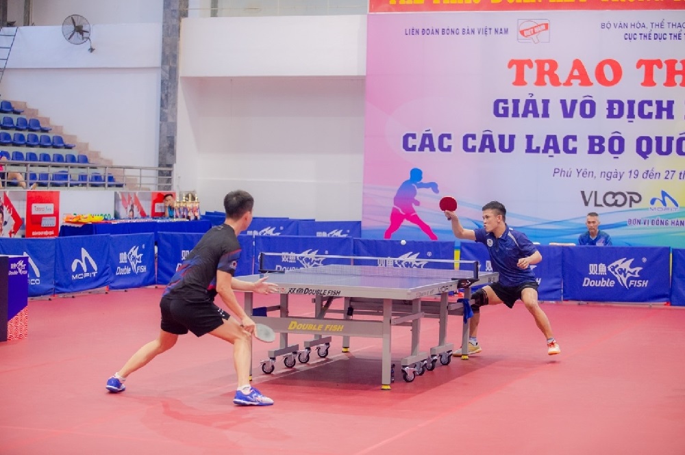 Professional Table Tennis Table