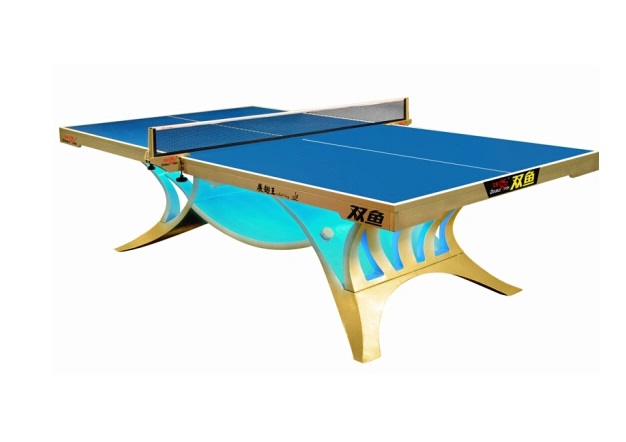 Professional Table Tennis Table Professional Table Tennis Table