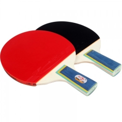 Economy Rackets Set with 2 Racket and 3 Balls