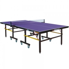 Single Folding Table Tennis Table for Training and Competitions 201A