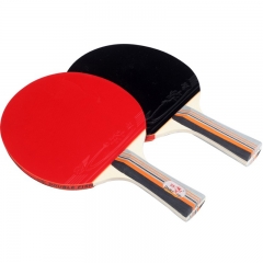 Rackets Set with 2 Racket and 3 Balls for Recreation